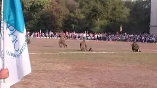 Выступление спецназа в ЮРГПУ НПИ имени Платова.