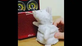 мышь танцует