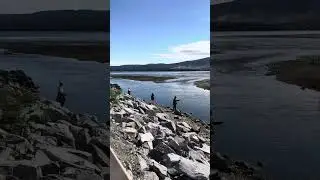 ДУКЧА МАГАДАН | ГОРБУША ПОШЛА НА НЕРЕСТ| РЫБАЛКА