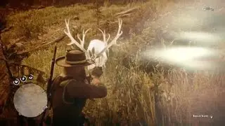 Red Dead Redemption 2   Legendary Elk attack