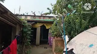 52 dish seting