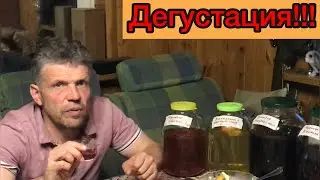 Настойка. Дегустация.