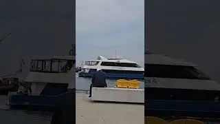 City Cruiser Toronto Canada #short #samsungs23ultra #canada #cruise