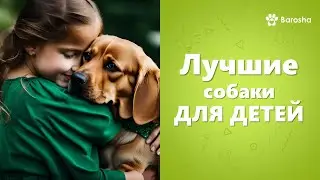 🌟 Лучшие собаки для детей 🌟 Часть II