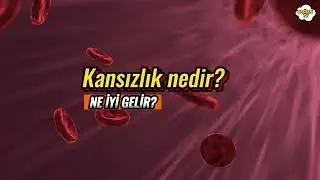 KANSIZLIK NEDİR ?  - ANEMİ #kansızlık #sağlıklıyaşam