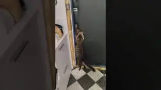 ПОБЕГ