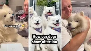How our 6 dogs each show affection