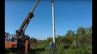 Новый столб для аистов. Прямой эфир с места событий.