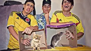 ¿QUÉ HAY EN LA CAJA? - TheGameto