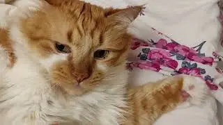 Утро понедельника