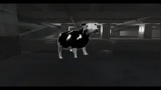 POLISH COW