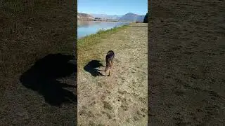 Lake Ruatuniwha. New Zealand