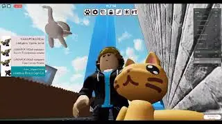 play is find cats #1