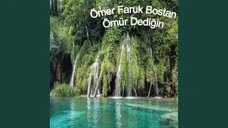 Ömür Dediğin