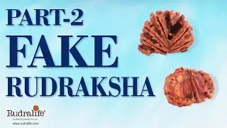 Identify Fake Rudraksha - Part 2 | Rudralife