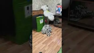 Отправить
