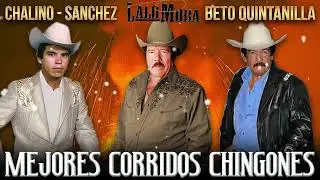 Chalino Sanchez - Beto Quintanilla - Lalo Mora || Mejores Corridos Chingones - Puros Corridos Mix