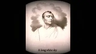 Augie March - Napoleon is Colour Blind (Lyric Video)