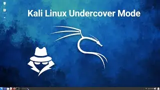 Kali Linux Undercover Mode