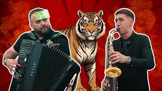 MATEJA SAX IZDOMINIRAO NA SVOM PUNOLETSTVU x BORKO x TIGROVI (ZAVICAJ LUX 2024)