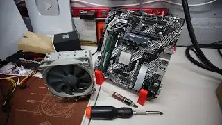 Setting up a PROFITABLE Ryzen CPU Mining Rig for Zephyr & Veruscoin! LIVE