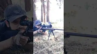 CZ 457 Lux .22LR (PART 3) CCI STANDARD VELOCITY #shorts #22lr #plinking #rimfire #cz457 #cz