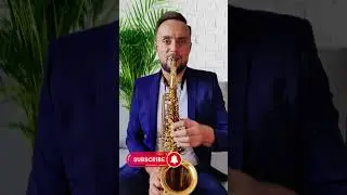 Señorita Saxophone Cover #romankolganov #saxophonecover #saxcover  #saxophone #saxophonemusic