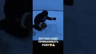 ВОТ КАК НАДО ПРИМАНИВАТЬ РЫБУ 👍🏻 #рыбалка #продольники #перемет #зима  #лунка #трофей #налим #рыба