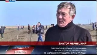 В Волгодонске прошел день древонасаждений