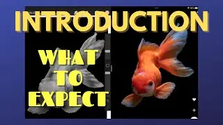 INTRODUCTION TO MY CHANNEL and what to expect. #digitalart #procreatetimelapse