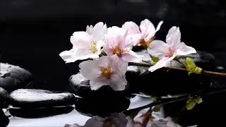 Антонин Дворжак - Славянский танец №2