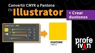 Convertir CMYK a pantone en Illustrator - Crear duotonos