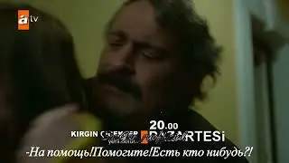 обиженные цветы 109