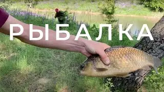 Карась в Орловской области // Рыбалка