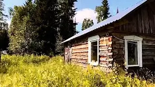 I haven't caught perch like this in a long time. Taiga hut. Fishing in the north.