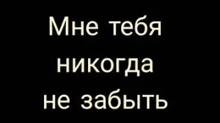 Виктор Семенюк  -  Мне тебя никогда не забыть...: Музыкальная поэзия