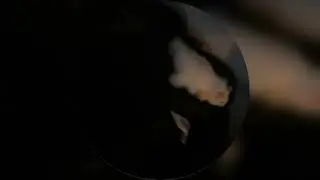 КОРЕШ ПОКАЗАЛ СВОЕГО НОВОГО ПИТОМЦА