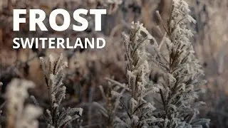 Beautiful frost - Switzerland in 4K