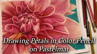 Drawing a flower, using colour pencils on Pastelmat paper