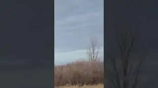 очередной трофей добыт.