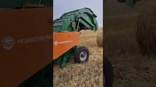 29 ноября 2022 г.