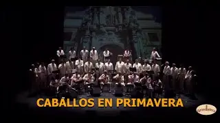 Parrandboleros "CABALLOS EN PRIMAVERA"