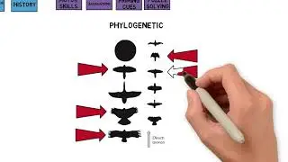 Types of Memory
