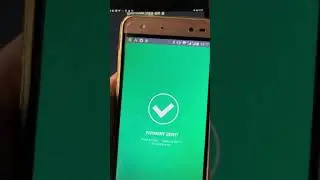 Transacting on the Bitcoin Lightning Network