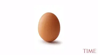 egg