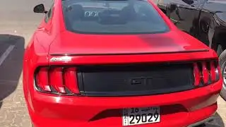 Mustang 2019/20 test drive shots