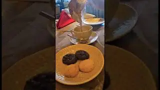 Cookies & Tea😲😮 || Amazing in Taste 👌🏻😋 || Avadh Utopia || Vapi 