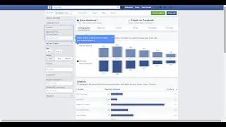 Facebook Audience Insights & Custom Audiences