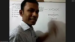 DNA Replication.  ( Jahirul Sir)