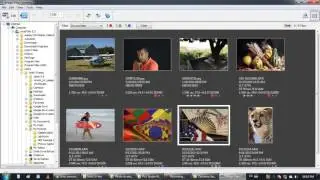 Sony Image Data Converter tutorial Browser Experience